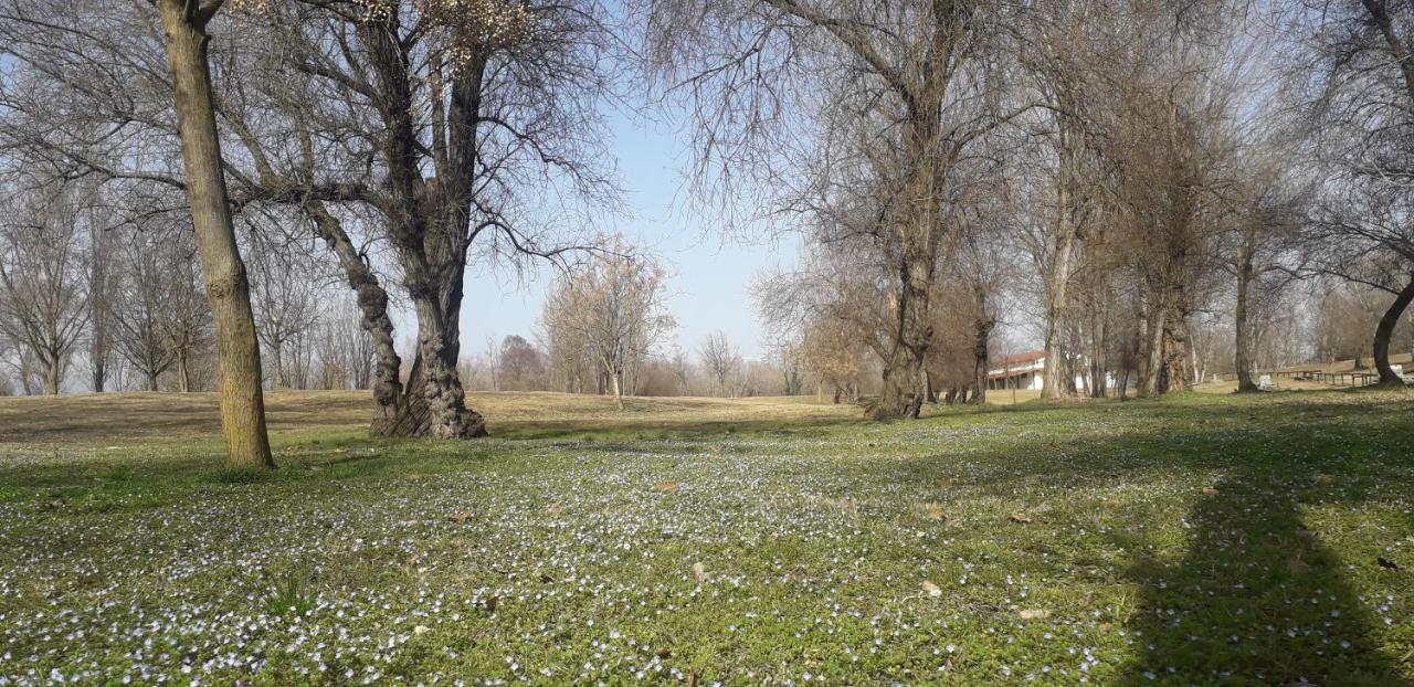 Casa Nicole 1 Villa Mussolente Kültér fotó